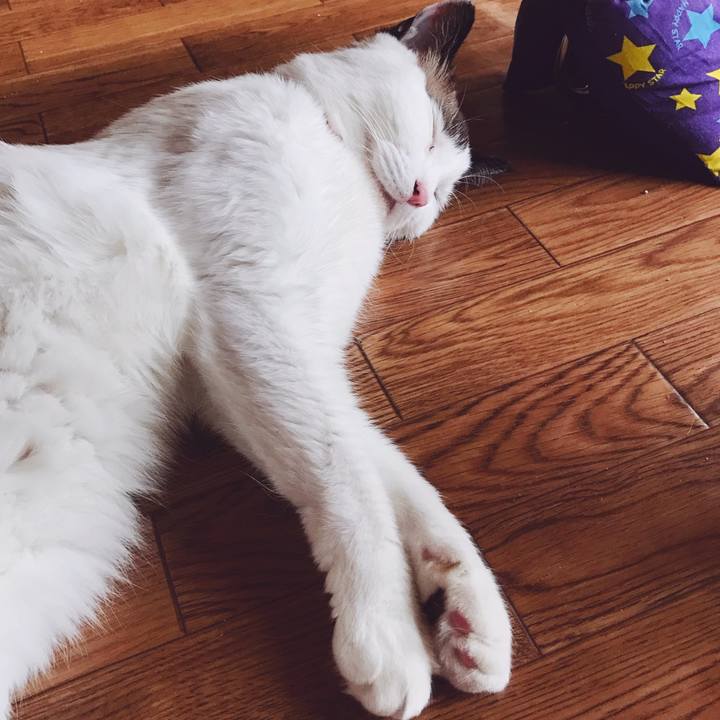 43ced5b9 8c1e 4a0a 885f d2df01f381d1