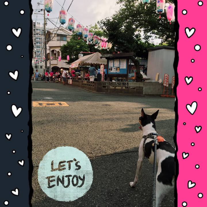 43cee798 9412 4410 88c9 e6db4709141d