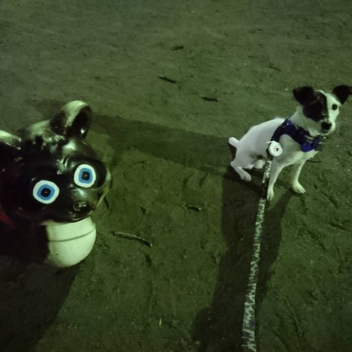 43ceeae5 95fe 4960 bd77 2f6cd4641a59