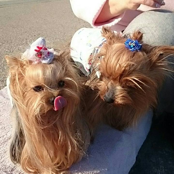 43cf2132 8b62 410e 906b f84ae1927c2a