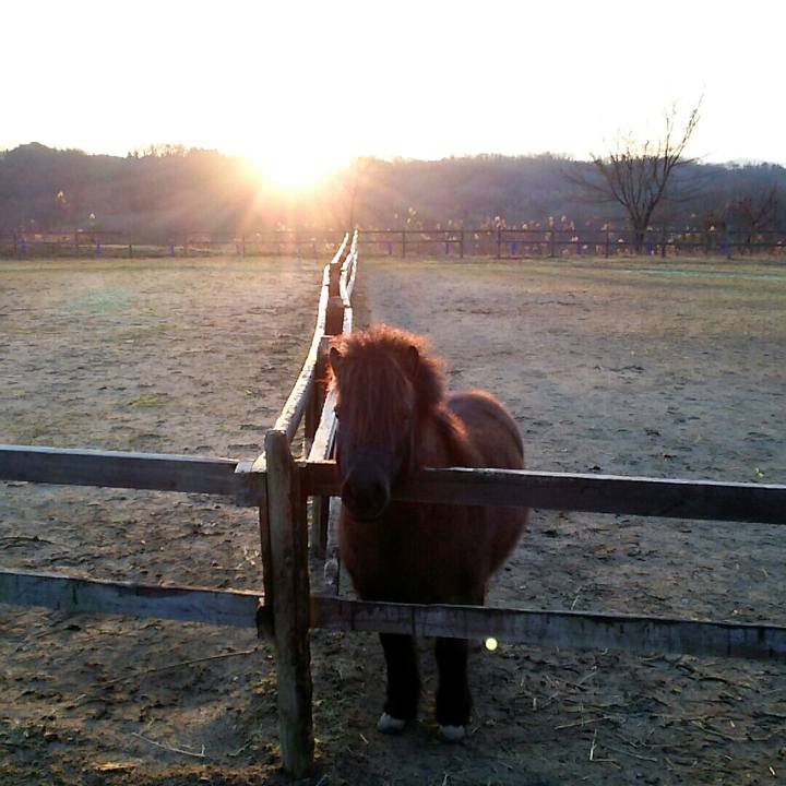 43cf8782 d99b 43d3 9deb 91ed276b2d84