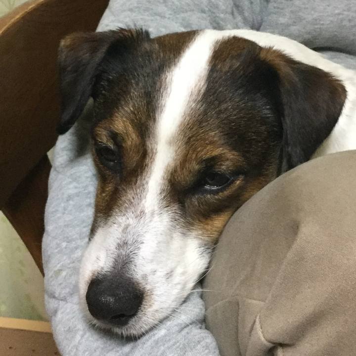 43d0f999 173c 4ee7 a250 66fb139a1136