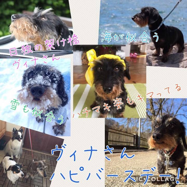 43d14c88 fba3 455a 8e3a 585e6f51bb6b