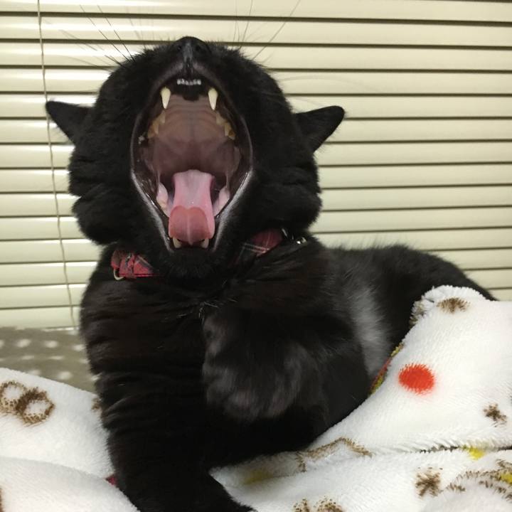 43d15f06 55b5 4244 b907 ff7f71071e25