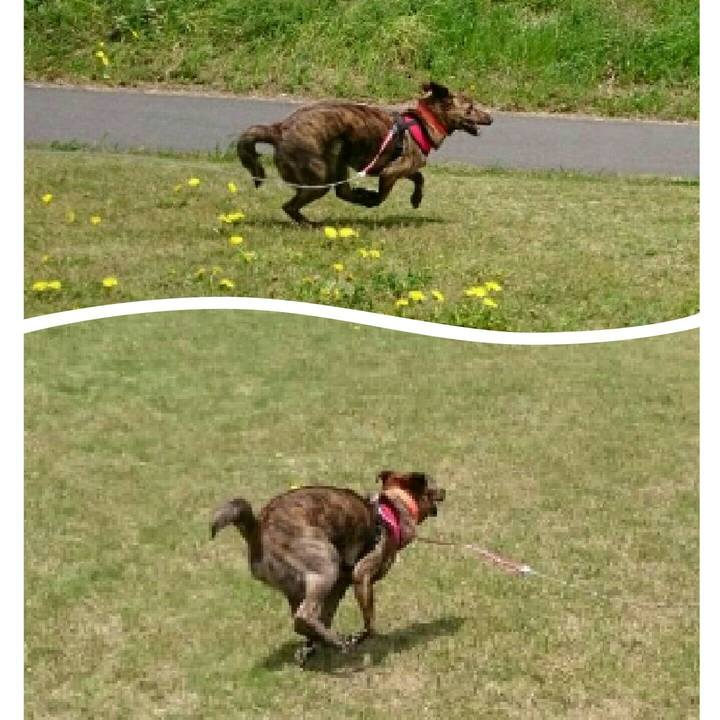 43d18576 d3c9 493c a499 a25981140447