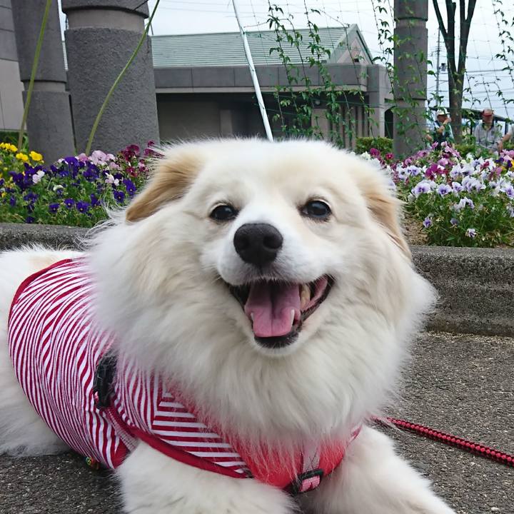 43d1a700 cf5e 465d 90db 728807c92191