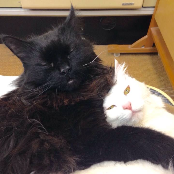 43d26cfa dd01 4e74 a68c 154ede97e1f0