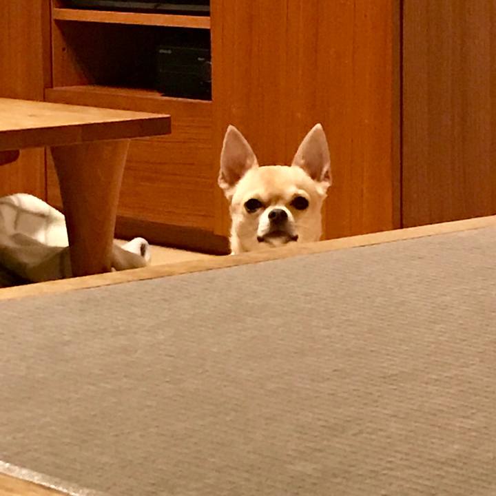 43d28210 6e95 46b3 9503 6d1ad97e7642