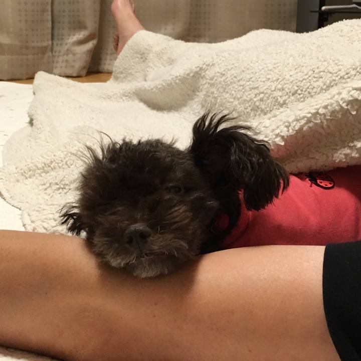 43d3d2d9 dfc4 4867 9d2d 078e426c7819