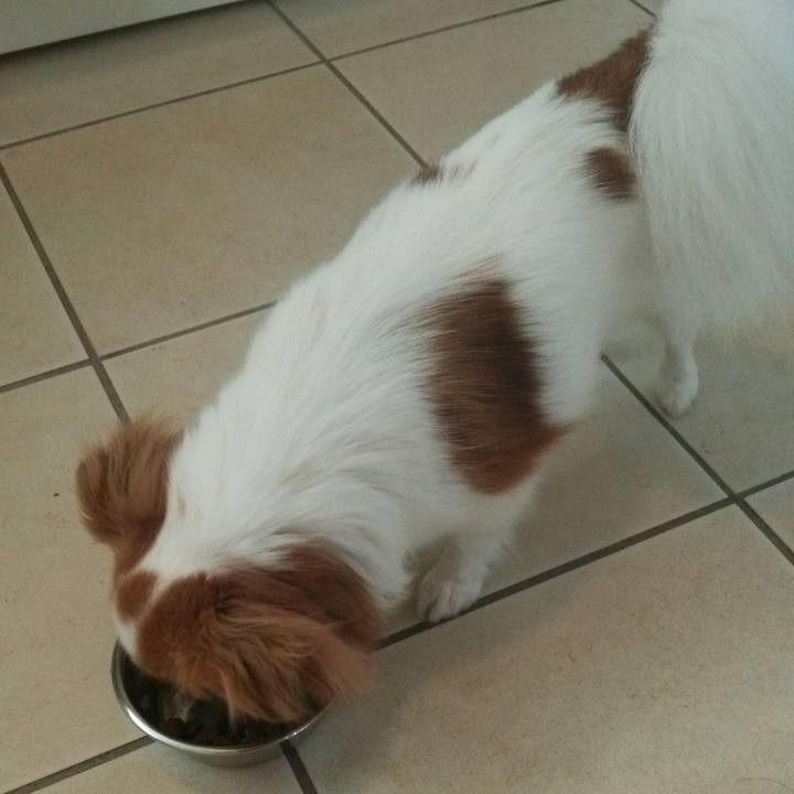 43d3ecb2 efca 4062 b42d a5bba858f2c8