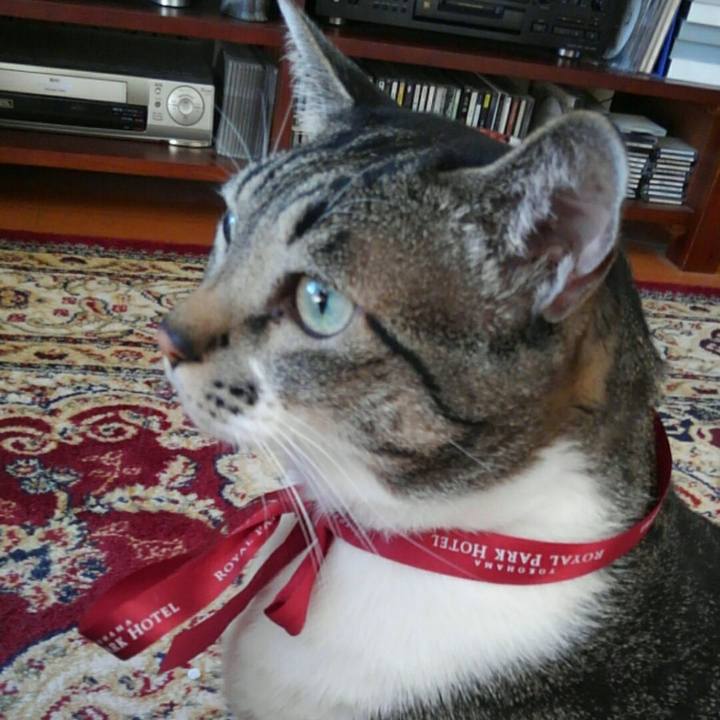 43d44f77 a4f5 4f14 aefa 88b260ab955c