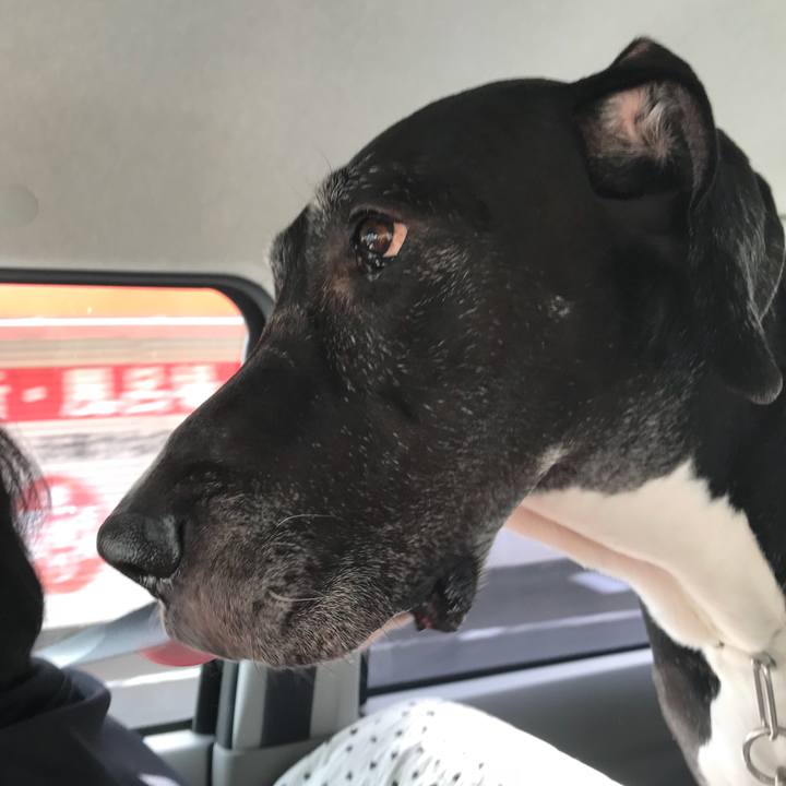 43d5fc6c 1b69 4bce 9942 fe799397d28b