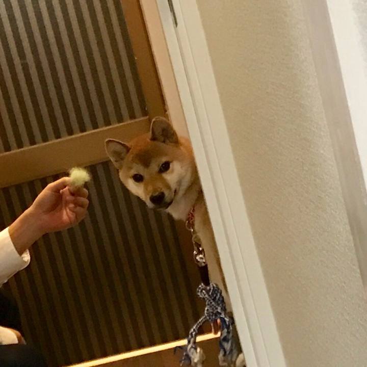 43d64a85 6fb2 425a beda 4e39e337cced