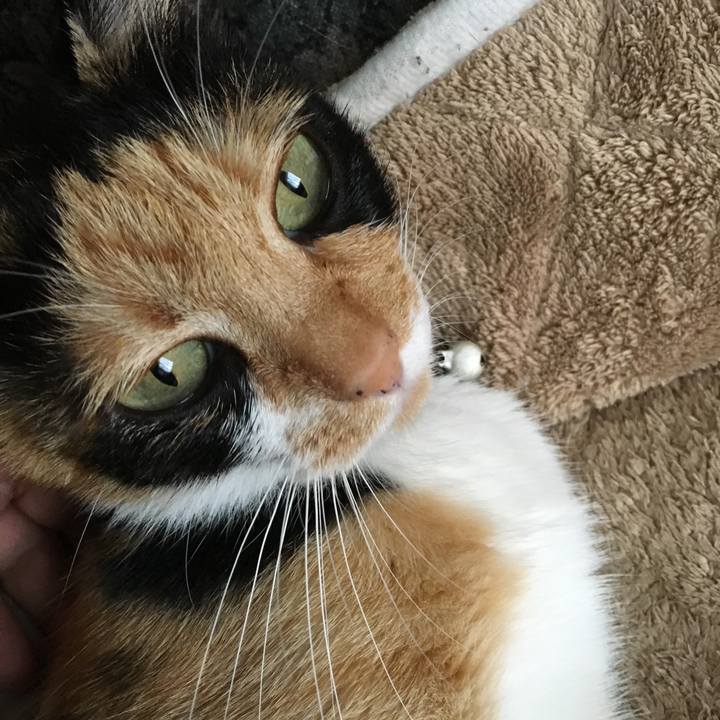 43d66968 d901 4bfd b722 5725fefffa78