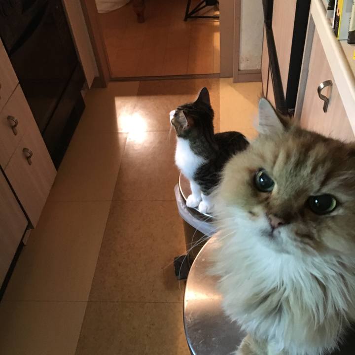 43d7574d fdd0 4898 84d7 a7fd7ec4b8f3