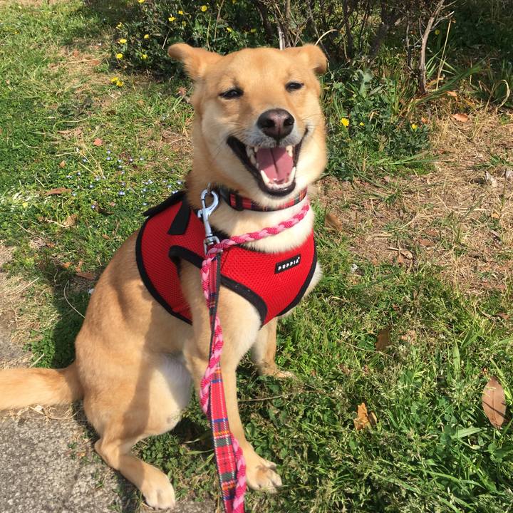 43d7baf3 2e7a 47e1 95fc 22fb9e94324f