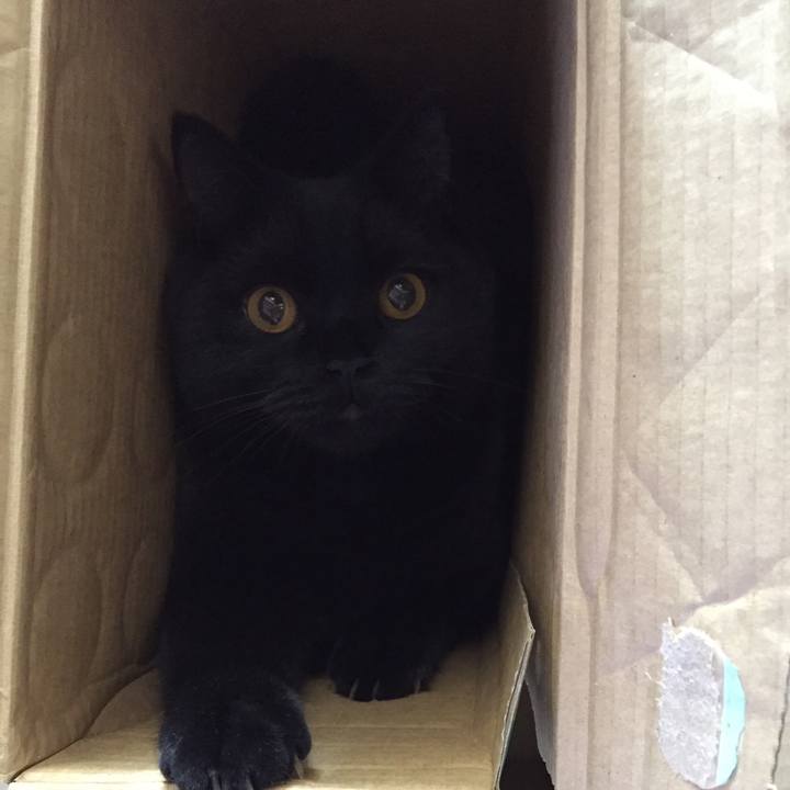 43d843a9 8018 406d 92a3 160927940afc