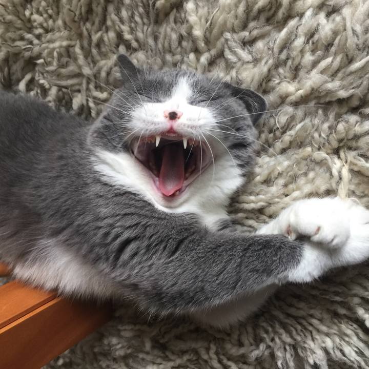 43d86388 ab22 4c5e a0b9 fe9691017afb