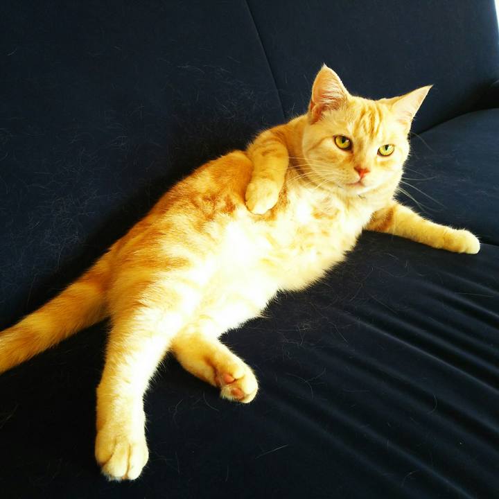 43d8bf9d b0e0 49c6 97ec 35da2ca406c7