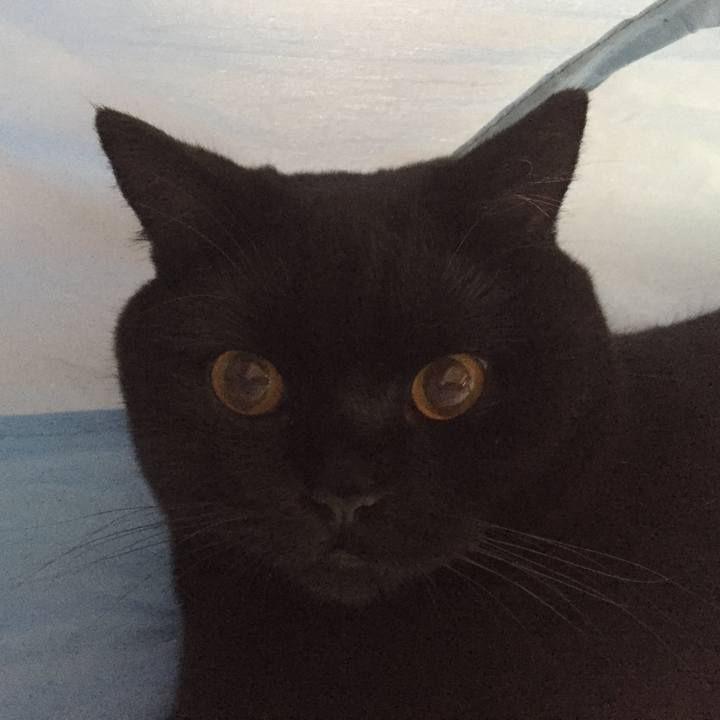 43d8d17b 8ab3 46c5 8be9 65b6169322a3