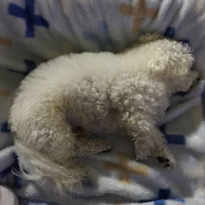 43d93769 77bc 4cd1 ad77 e581d2ccfc6e