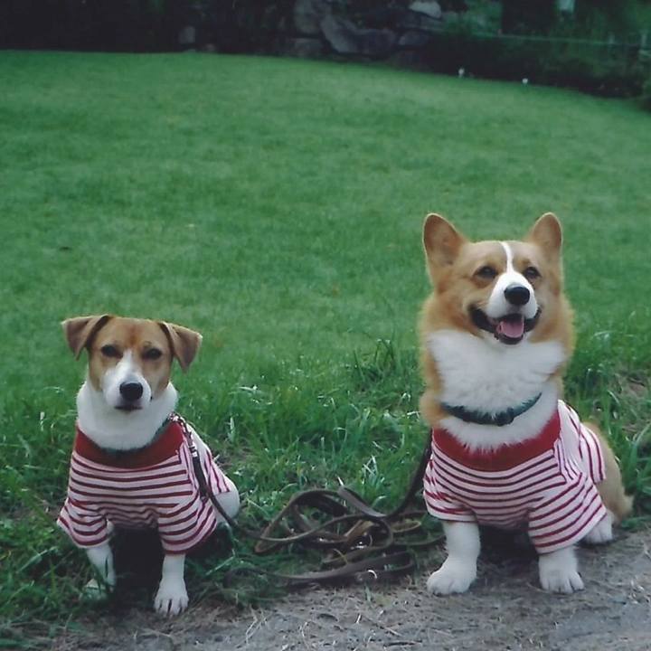 43d95435 55f2 40dc b0ff 9a624b35c0b0