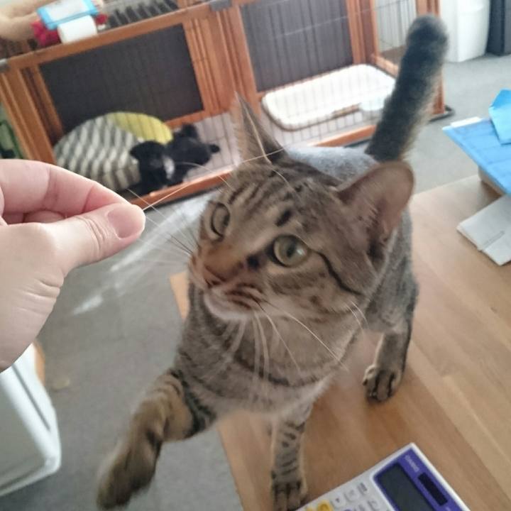 43d95997 1c94 4911 b399 222842594a01