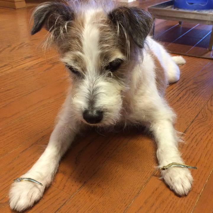 43da221c 3e10 4a15 8d51 b395bb4c7f35