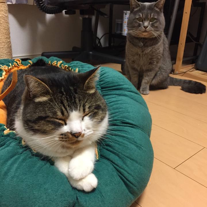 43da22c1 215c 4f86 a23a e5f9abae9492