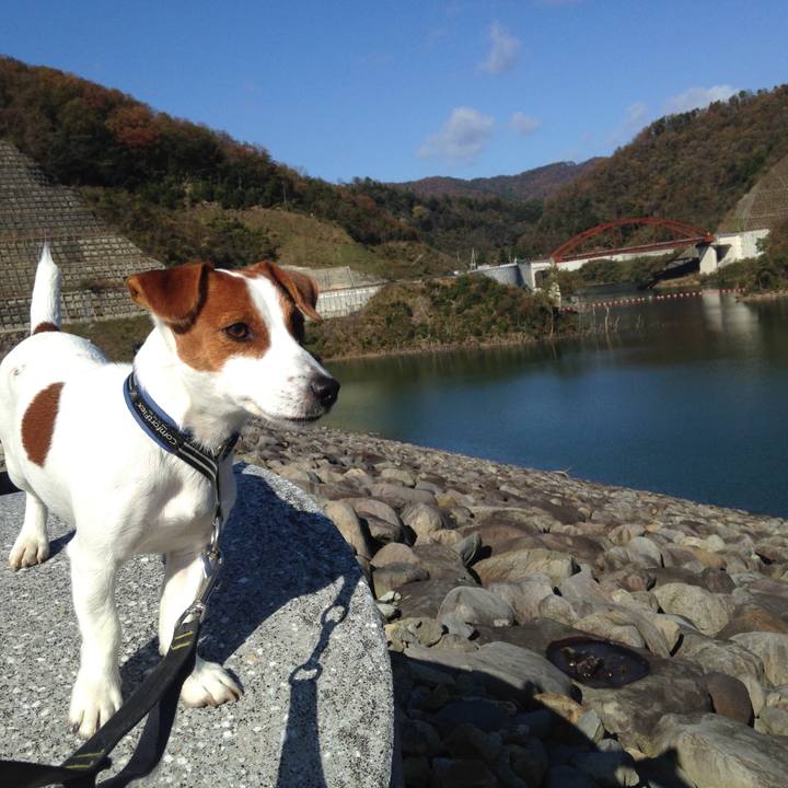 43dab84e eca1 4cae ac84 b1d52dd7cd51