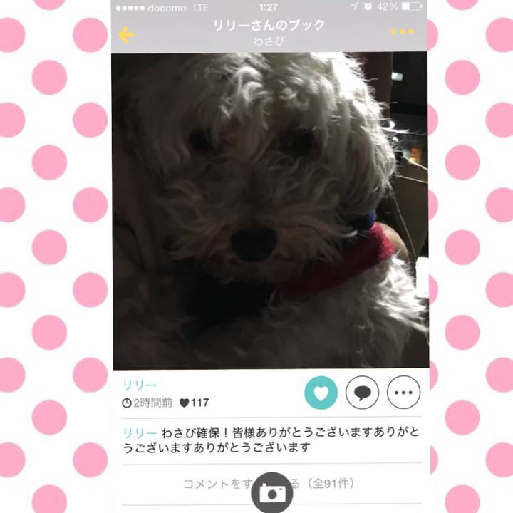 43dacbce f3fb 47fd ac69 0ca96ca193d1