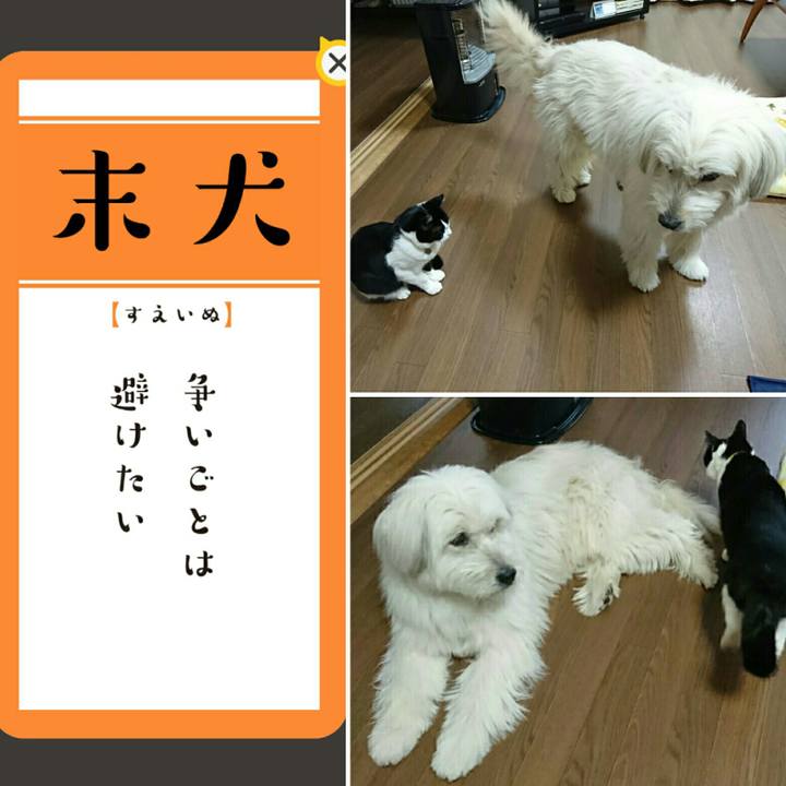 43daccd9 fab2 496c bbd6 4f495dcfee2b