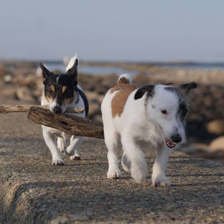 43db16cb caac 4d44 8012 7291159f696f