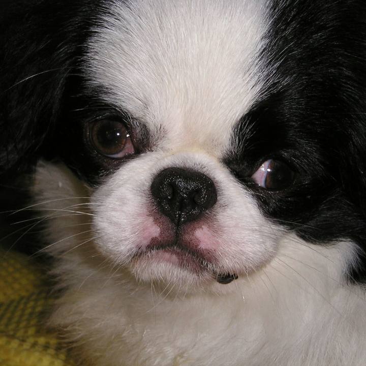 43db20be a6b6 4928 aa0b e7f3edef615c