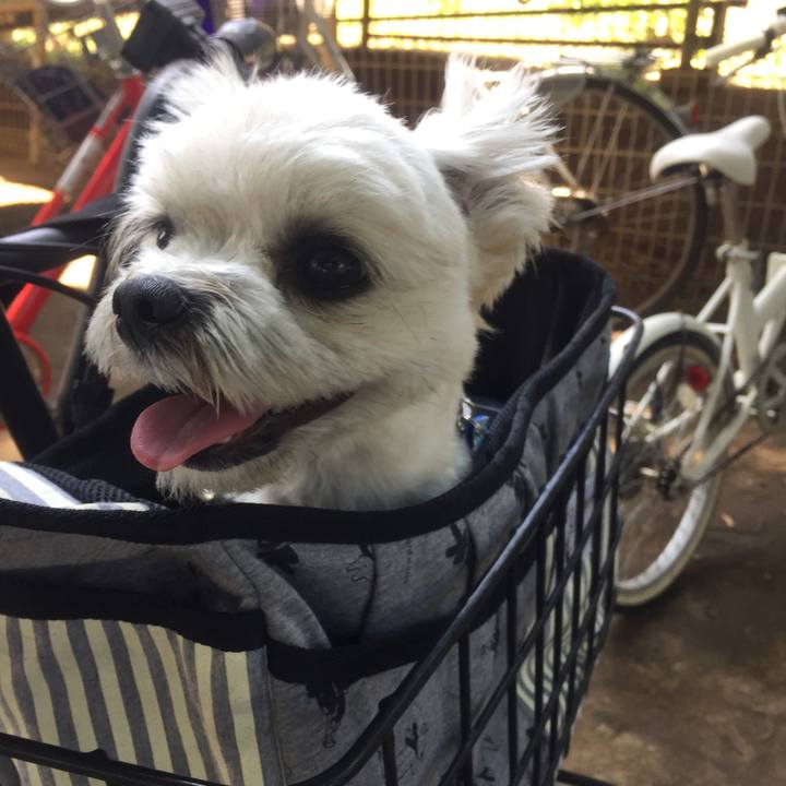 43db3fad caca 42cb aa10 6c9cb1f6e1ec