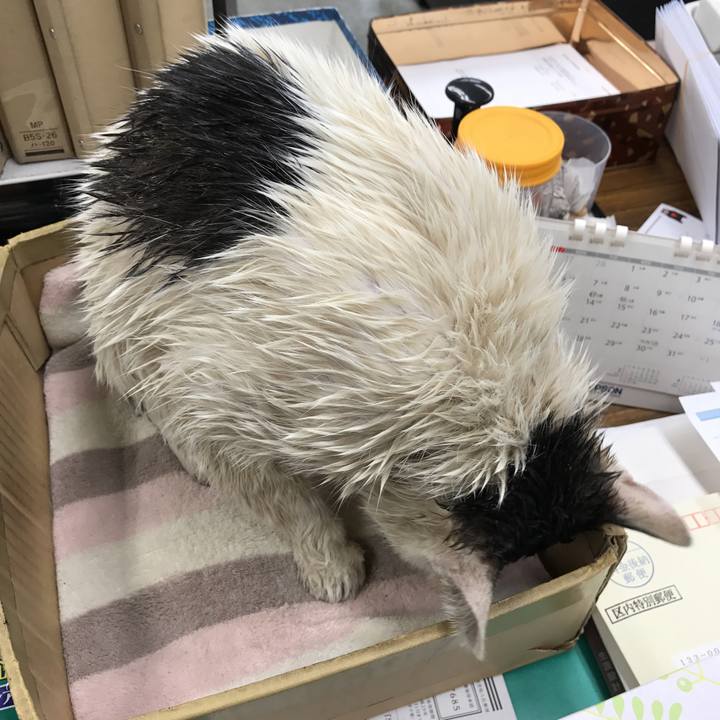 43db52fe db13 4807 ad1e 1a65d7b7c534