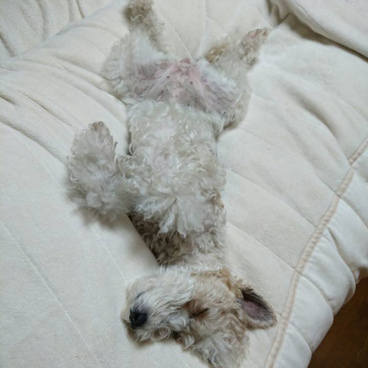 43db6848 5062 4853 865f 35103ea87ca3