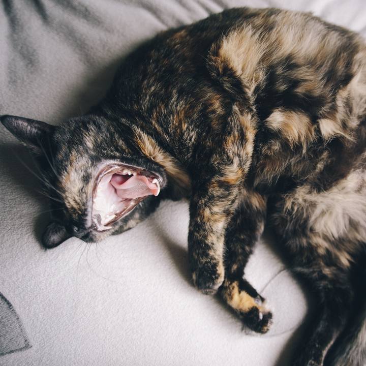 43dbf1b8 5592 4f05 93f4 39dcd5cd30a5