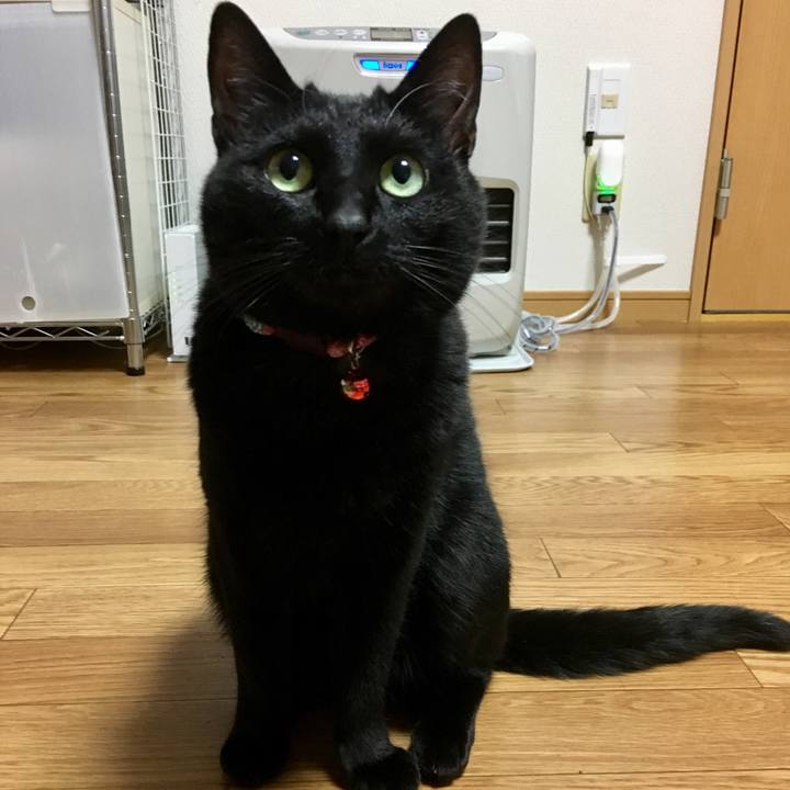 43dcbdab d370 4e7a 93cf 43ec9595f519