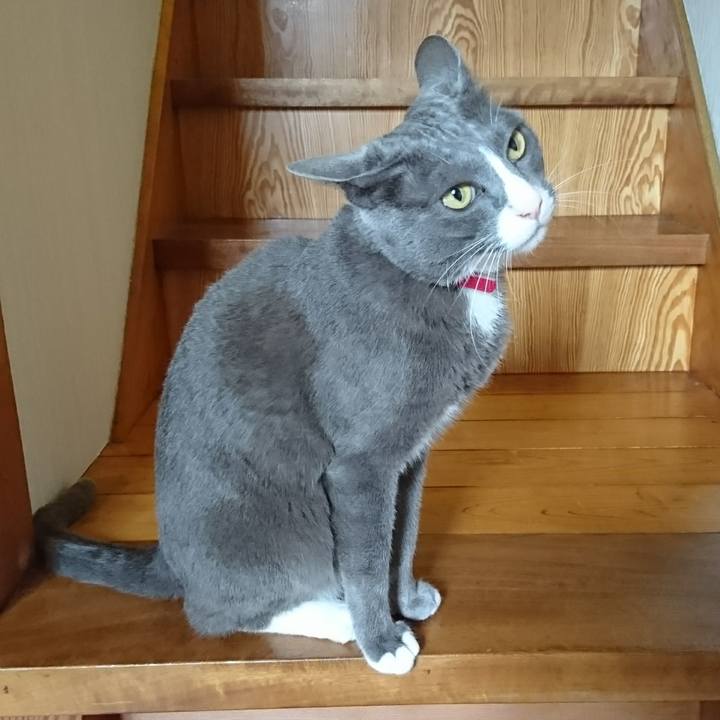 43dcbe12 4ac0 449a be26 6cb7d7915a1e