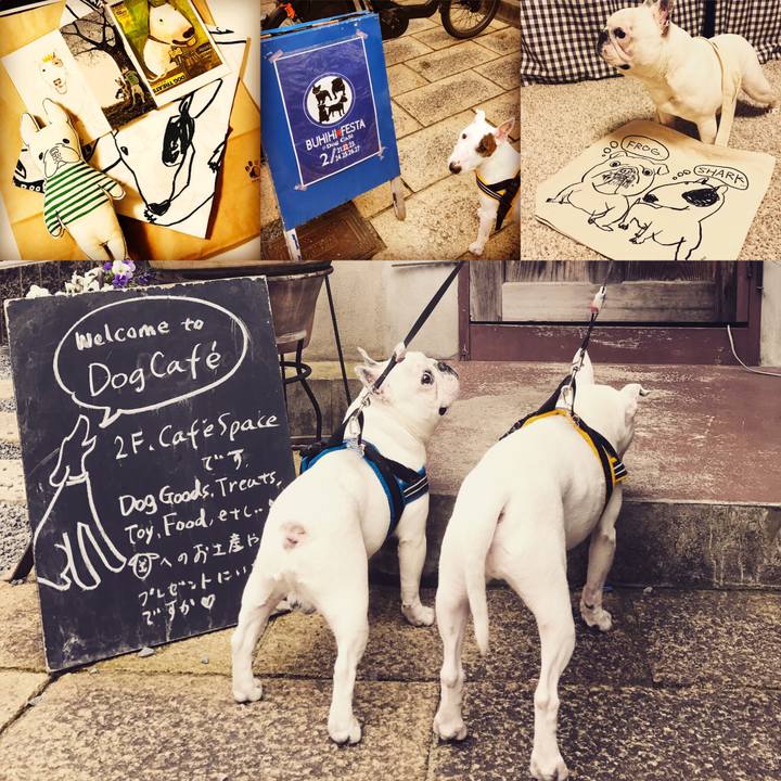 43dd908f 8962 404e 9e36 a728441e3abf