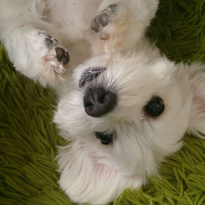 43ddff15 cb08 451f 9dee 1ffa2f624a8d