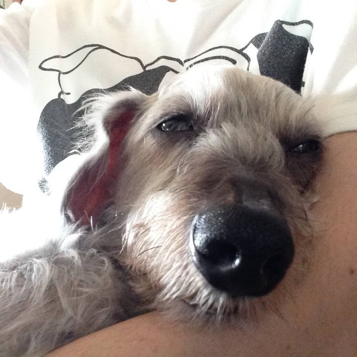 43df1867 cd83 4ac0 a8e5 738a7a6ddd4f