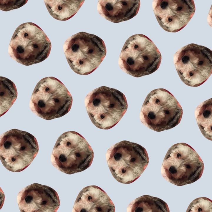 43df7a13 2e50 4a96 8e6b 9b7aa38b3195