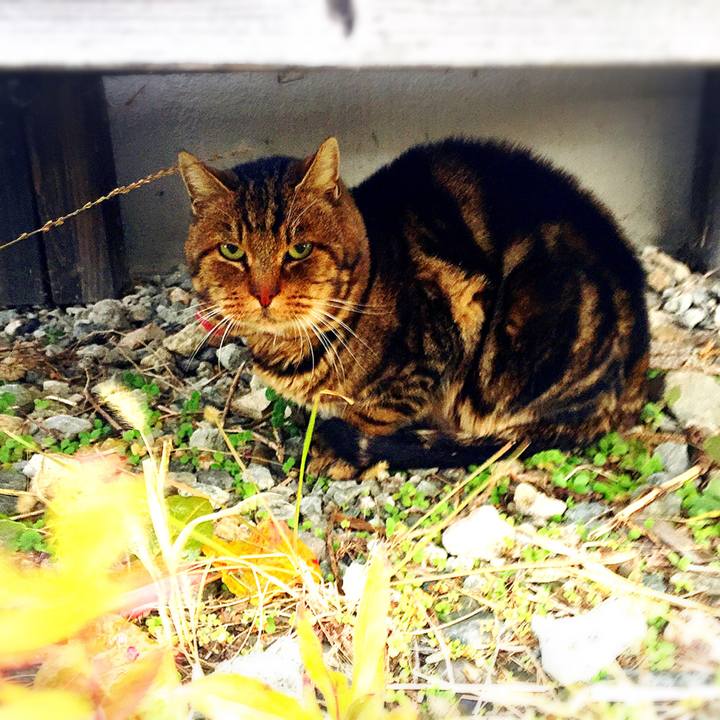 43df84f2 acd3 4f2b b141 c46cb58d414e