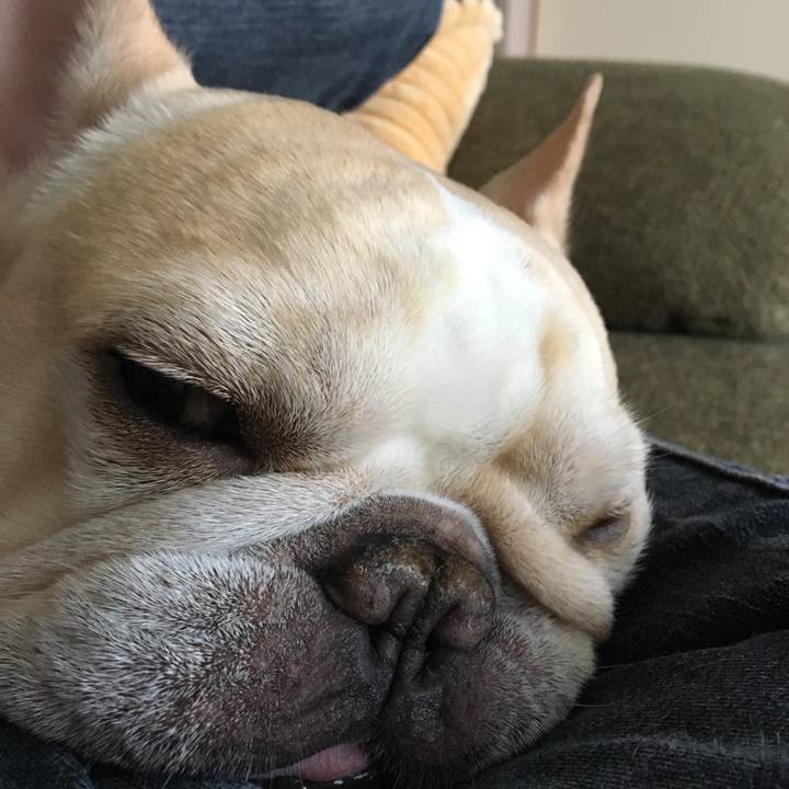 43dfc75f 8194 4077 9717 1c16528965a1