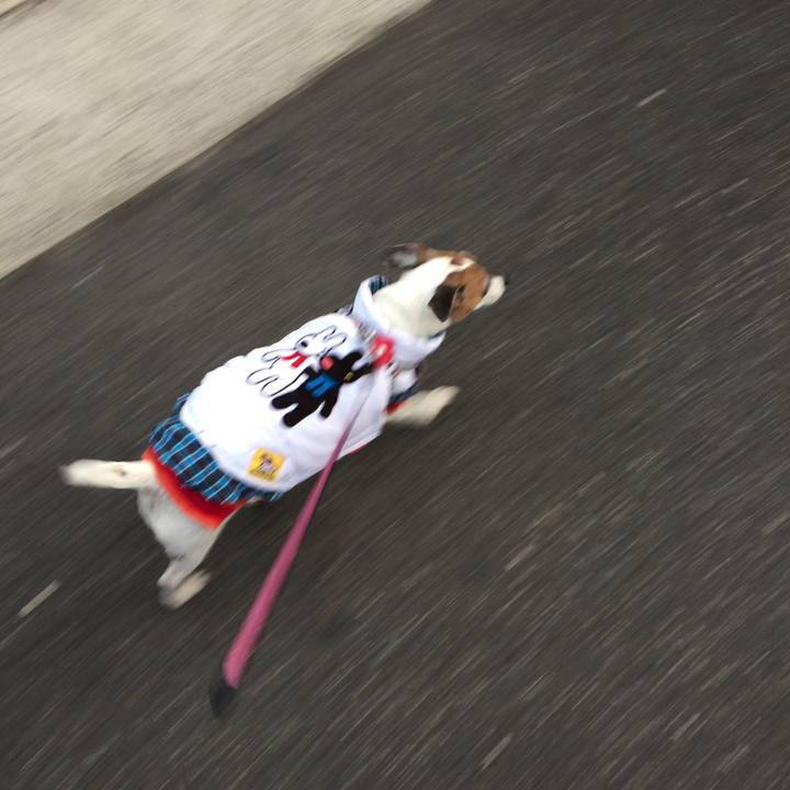 43e030f2 19d0 4942 9810 f001bab6c0b7