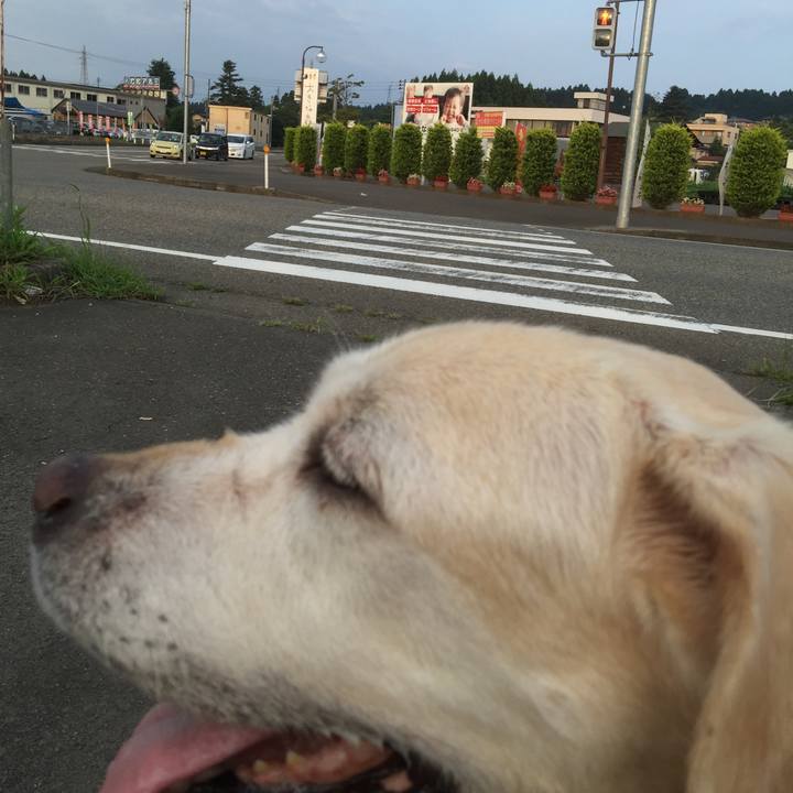 43e037a9 19e5 41f1 99f4 71fc9cdb56f6