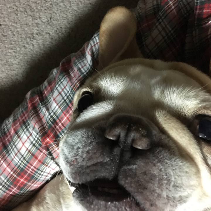 43e12078 a638 459f b30a 177c0028c8b4