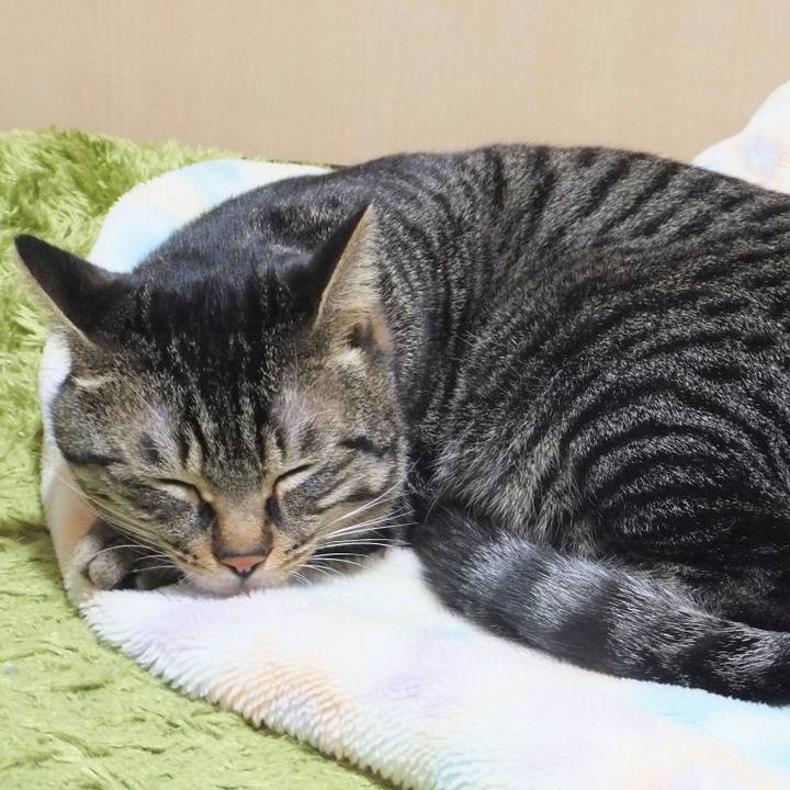 43e136a0 1e43 41c9 8b3a 56e6ac437763